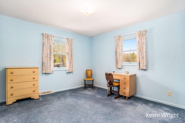carpeted office with visible vents, baseboards, and a healthy amount of sunlight
