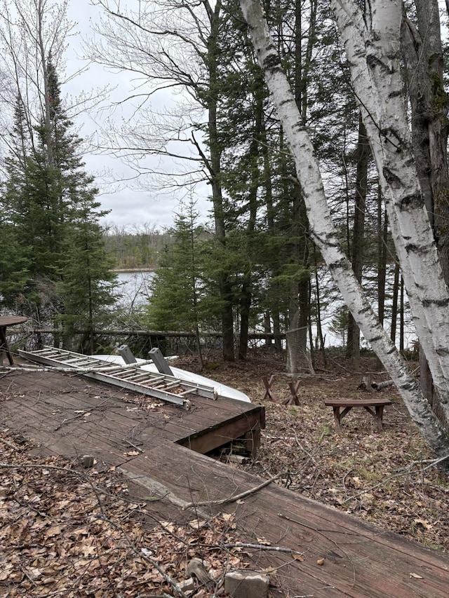 view of yard with a water view