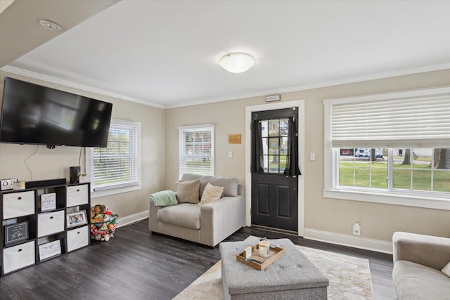 living area with baseboards, dark wood-style flooring, and ornamental molding