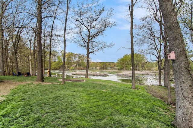 view of yard featuring a water view