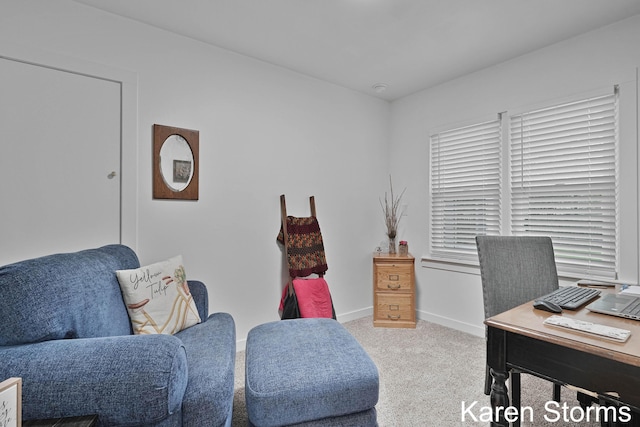 home office with carpet and baseboards