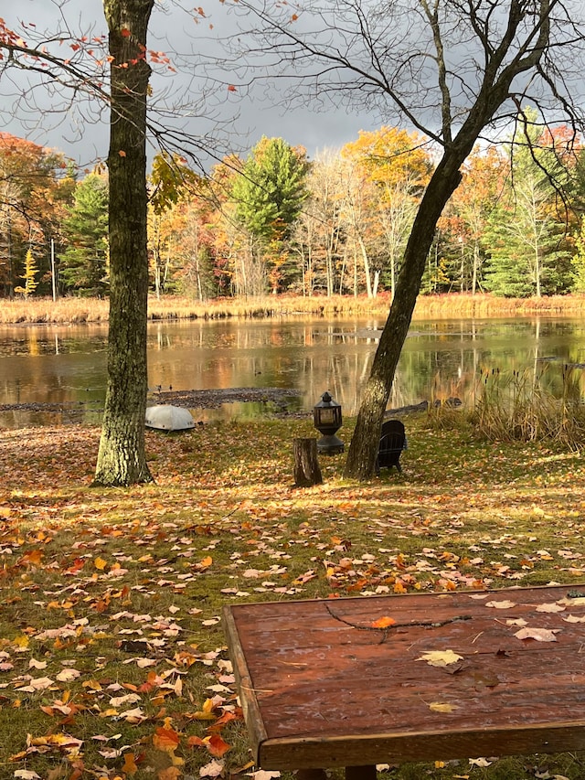 view of community with a water view
