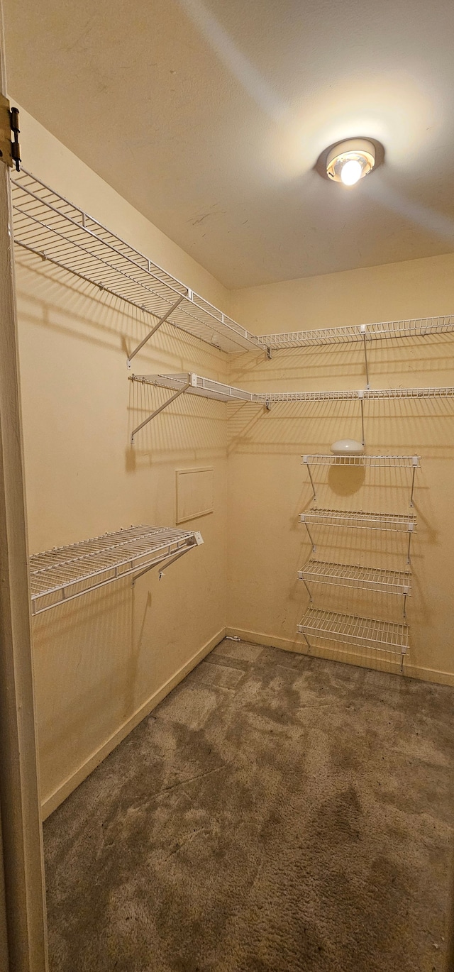 6660 Maple Lakes Dr, West Bloomfield, MI 48322 - walk in closet featuring carpet flooring