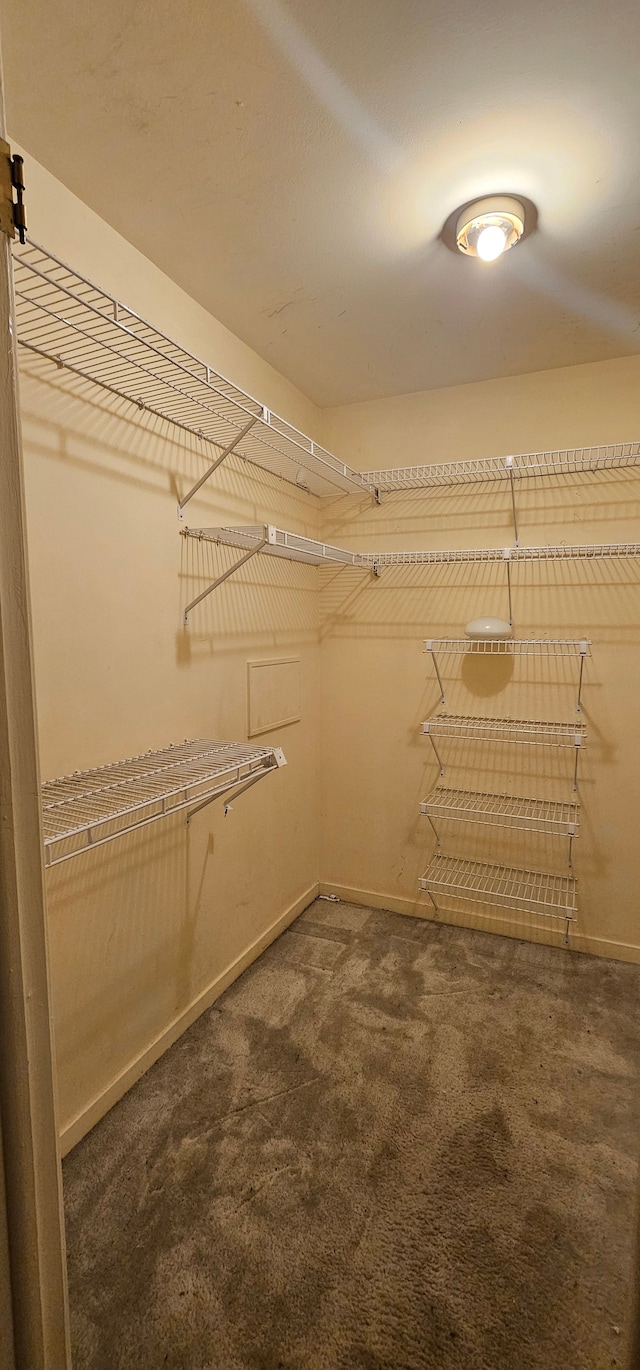 6660 Maple Lakes Dr, West Bloomfield, MI 48322 - spacious closet with carpet floors