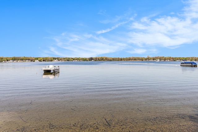 8570 Riverside Dr, Brighton, MI 48116 - water view