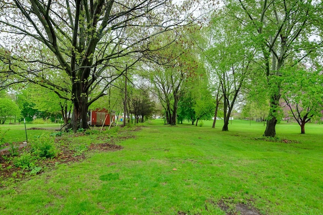 2847 N Custer Rd, Monroe, MI 48162 - view of grassy yard