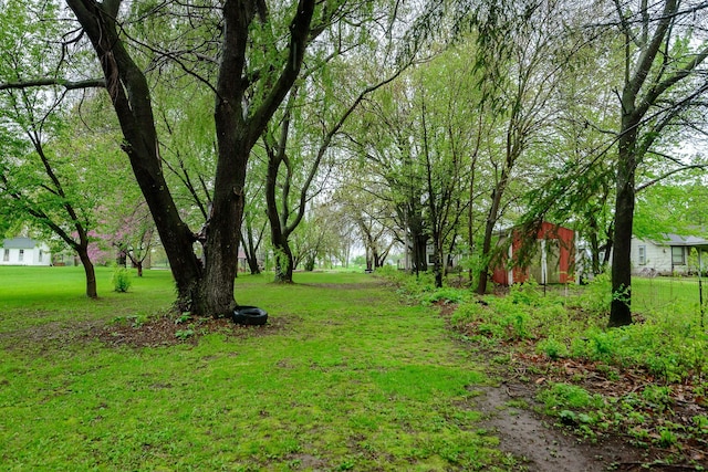 2847 N Custer Rd, Monroe, MI 48162 - view of green lawn featuring an outbuilding