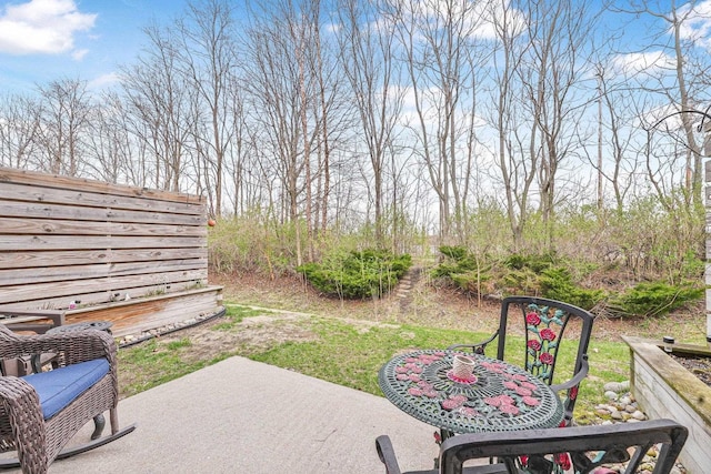 view of yard featuring a patio