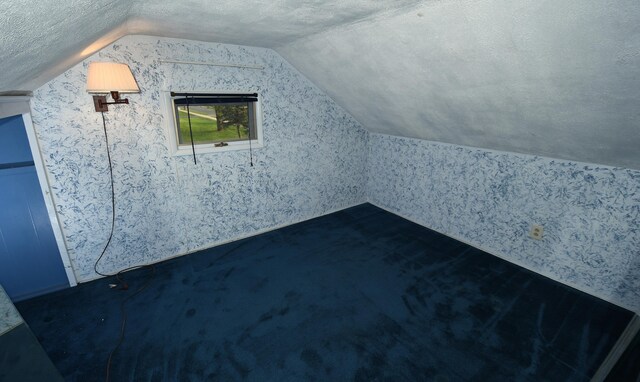 56193 Murray St, Mattawan, MI 49071 - bonus room featuring dark colored carpet, a textured ceiling, and vaulted ceiling