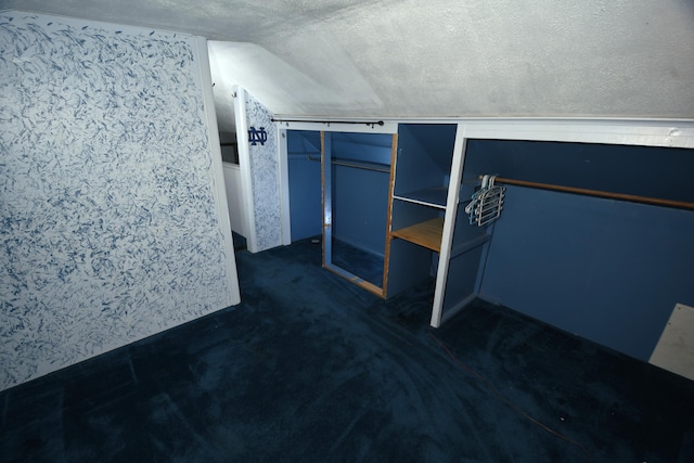 56193 Murray St, Mattawan, MI 49071 - unfurnished bedroom with lofted ceiling, dark colored carpet, and a textured ceiling