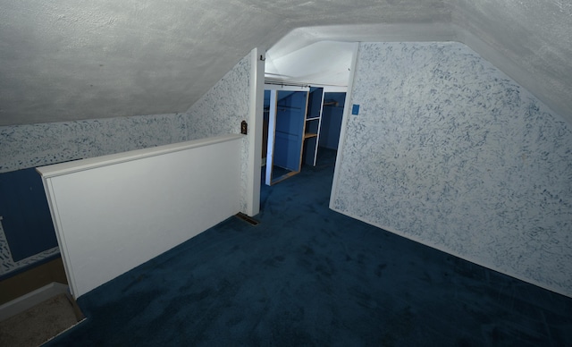 56193 Murray St, Mattawan, MI 49071 - additional living space with vaulted ceiling, a textured ceiling, and dark carpet