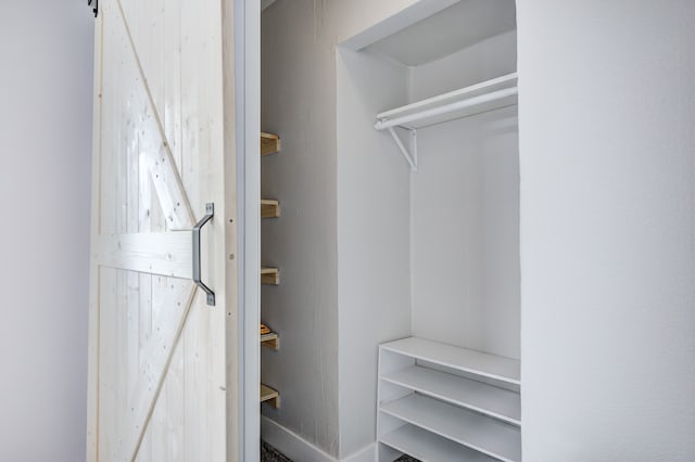 view of closet