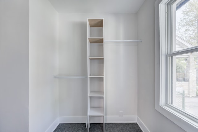 view of closet