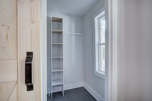 view of closet