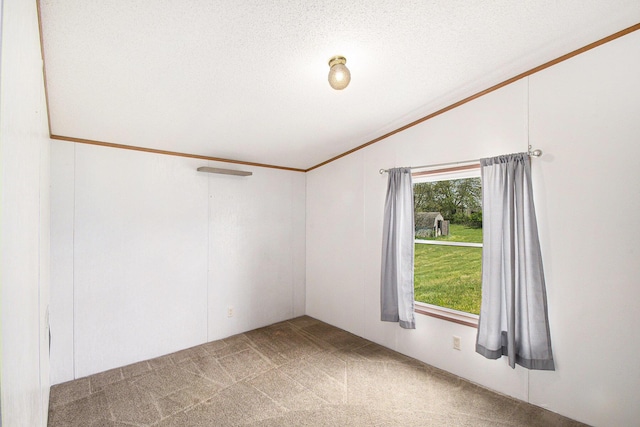carpeted empty room featuring crown molding, a textured ceiling, and lofted ceiling