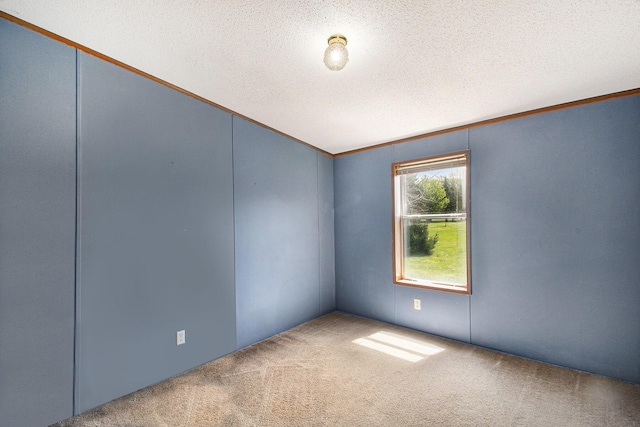 carpeted spare room featuring ornamental molding and a textured ceiling