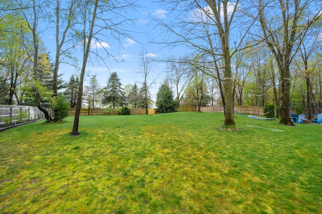 5849 Gavin Ln, Kalamazoo, MI 49009 - view of yard with a fenced backyard