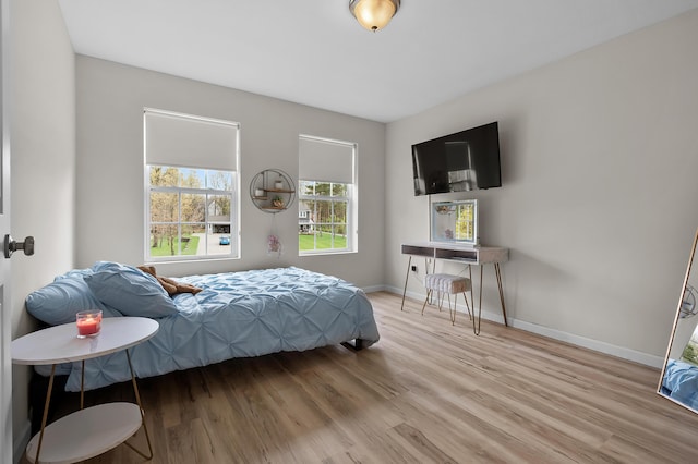 5849 Gavin Ln, Kalamazoo, MI 49009 - bedroom featuring baseboards and light wood-style floors