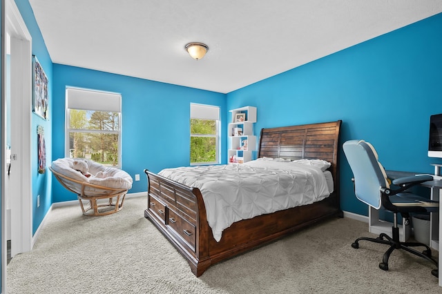 5849 Gavin Ln, Kalamazoo, MI 49009 - bedroom with baseboards and carpet floors