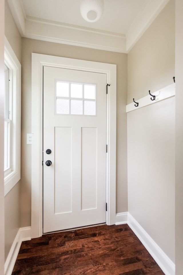 doorway featuring baseboards, dark wood-style flooring, ornamental molding, and a healthy amount of sunlight