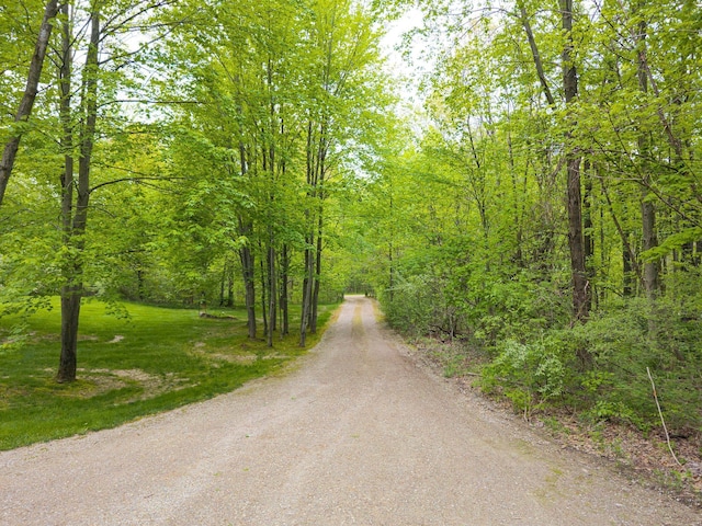 4217 Phillips Rd, Metamora, MI 48455 - view of street featuring a wooded view