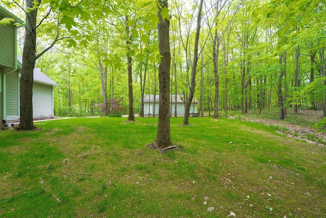 4217 Phillips Rd, Metamora, MI 48455 - view of grassy yard with a view of trees