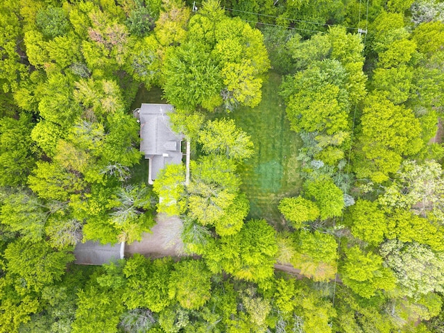 4217 Phillips Rd, Metamora, MI 48455 - view from above of property