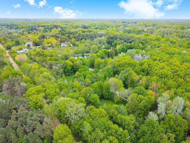 4217 Phillips Rd, Metamora, MI 48455 - drone / aerial view of a heavily wooded area