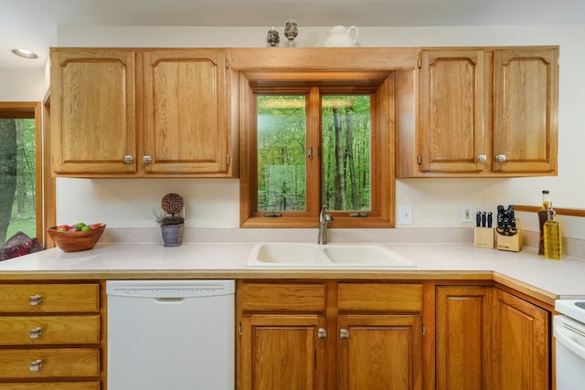 4217 Phillips Rd, Metamora, MI 48455 - kitchen with white dishwasher, a sink, light countertops, and plenty of natural light