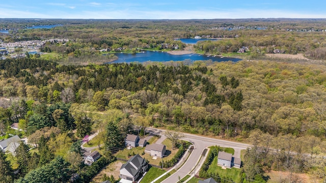 4125 Newton Rd, Commerce Twp, MI 48390 - aerial view of property and surrounding area featuring a forest and a large body of water