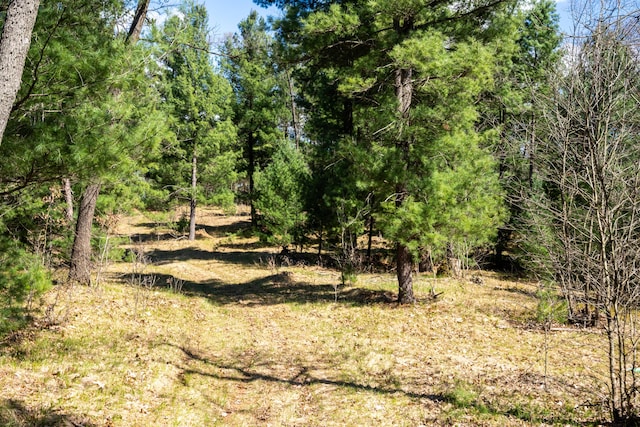 5110 Russell Rd, Twin Lake, MI 49457 - view of undeveloped land