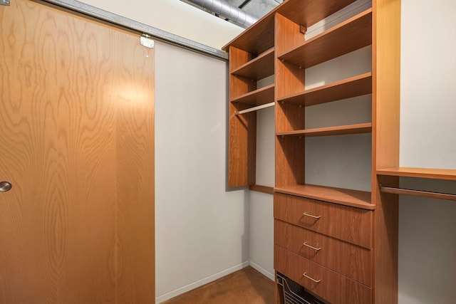 view of spacious closet