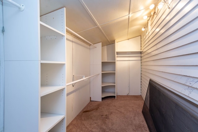 320 E Farnum Ave, Royal Oak, MI 48067 - spacious closet with carpet flooring