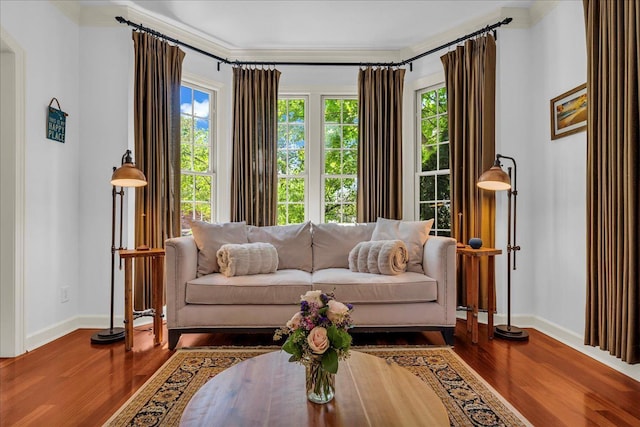 living area featuring wood finished floors, baseboards, and ornamental molding