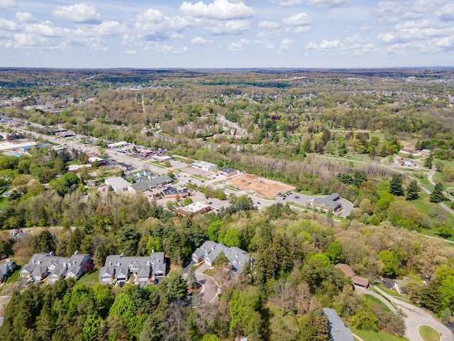 6480 Scenic Pines Ct, Clarkston, MI 48346 - view of property location featuring nearby suburban area