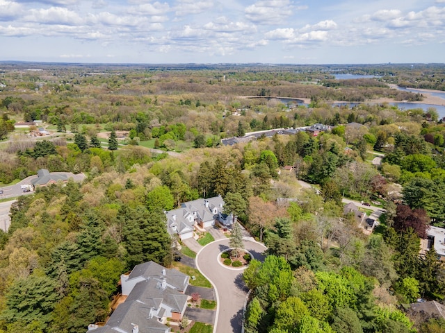 6480 Scenic Pines Ct, Clarkston, MI 48346 - aerial view of a large body of water and a forest