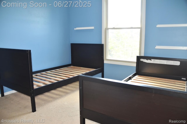 4184 Colorado Ln Unit 117, West Bloomfield, MI 48322 - bedroom featuring carpet flooring and baseboards