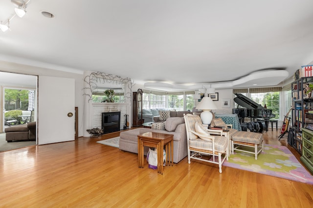 6171 S Main St, Clarkston, MI 48346 - living room with a glass covered fireplace, light wood finished floors, and healthy amount of natural light