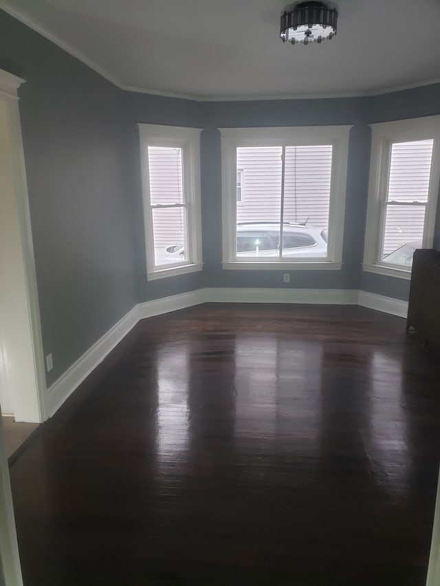 spare room featuring crown molding, baseboards, and dark wood finished floors
