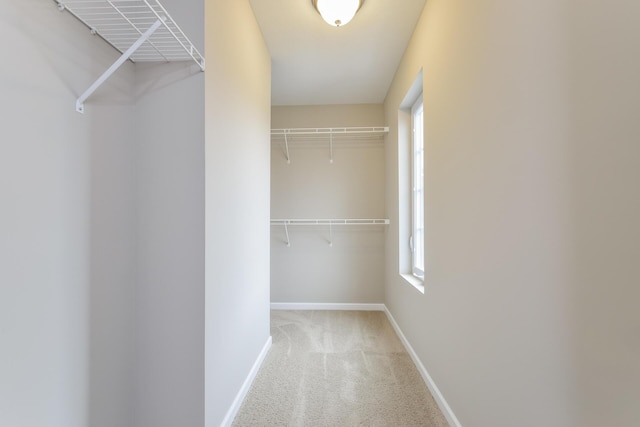 spacious closet featuring carpet floors