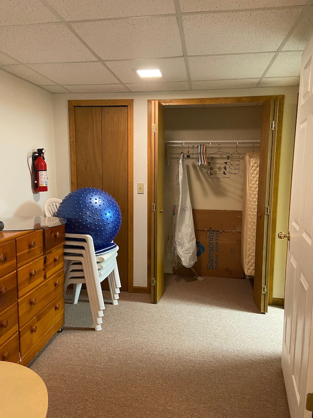 bedroom featuring a paneled ceiling and carpet