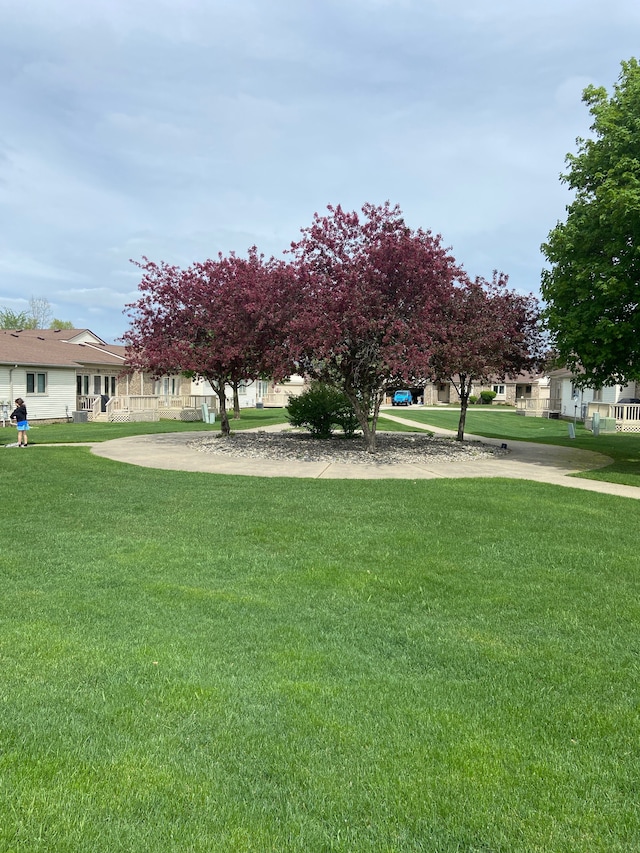 view of grassy yard
