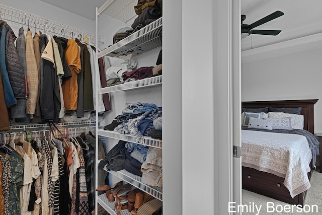 spacious closet featuring ceiling fan and carpet