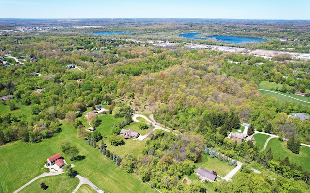 53201 Maranatha Ln, Wixom, MI 48393 - aerial view of property's location with a large body of water and a forest