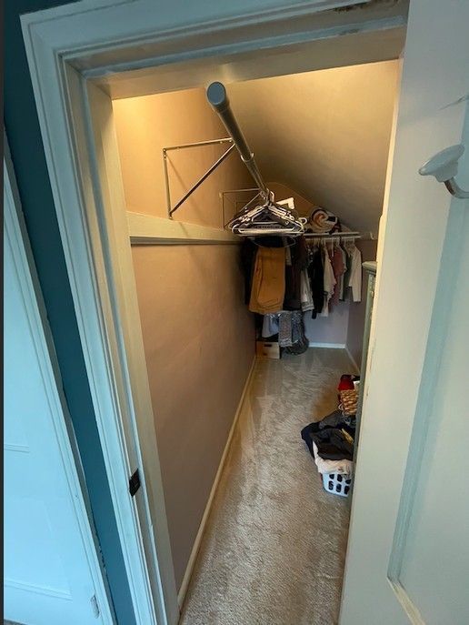 walk in closet featuring vaulted ceiling and carpet