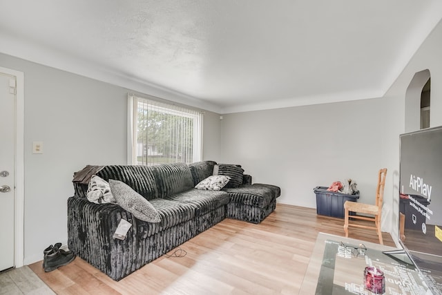 living area with wood finished floors