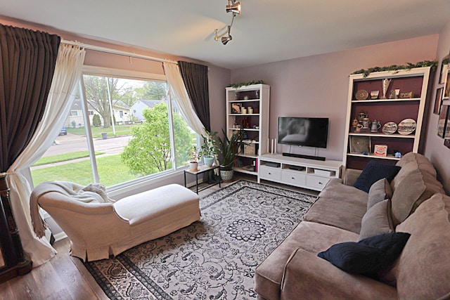 living area with wood finished floors and rail lighting