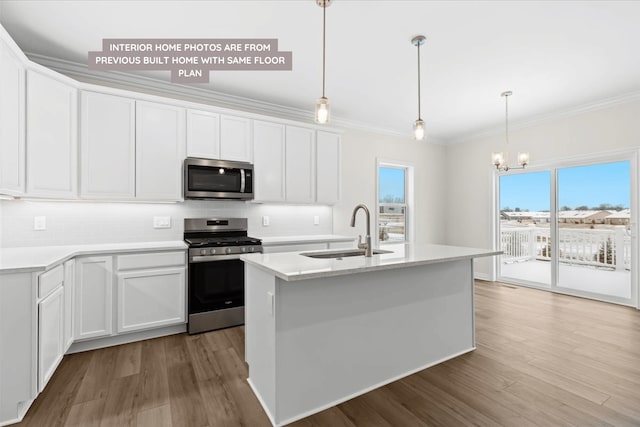 kitchen with appliances with stainless steel finishes, a sink, a chandelier, tasteful backsplash, and wood finished floors