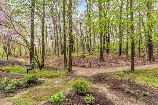 view of yard featuring a view of trees