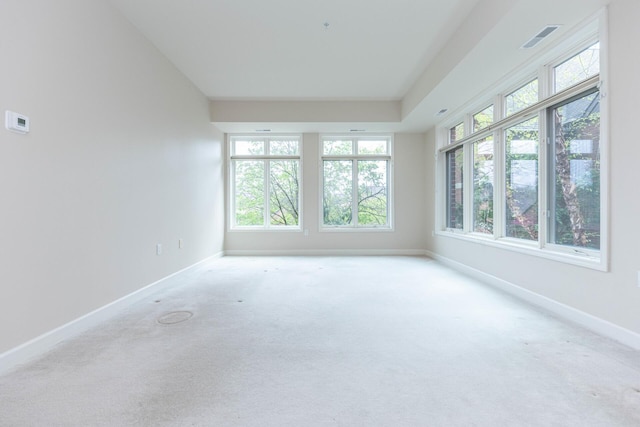 empty room featuring carpet, baseboards, and a healthy amount of sunlight